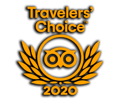 istanbul tours tripadvisor traveleres' choice